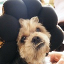 judy whitehead - @joodbood - Twitter