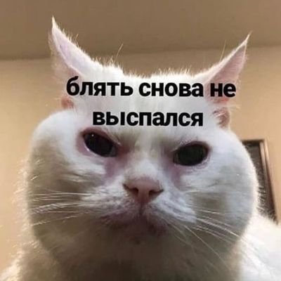 popaogur4ika's profile picture. 15 y.o
хорькая жепка огурчика