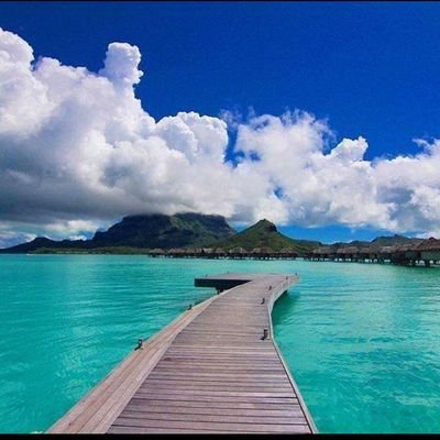 Terrib48596949's profile picture. Female Scorpio. My saying is. Put God First. Live your life to the fullest, Live, Laugh, Keep God & Love in your Hearts ♥️ Love like there's No tomorrow. ♥️