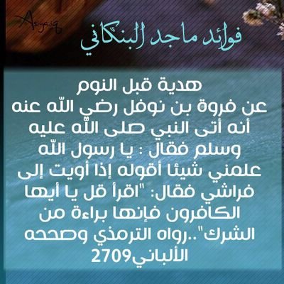 محب الحقيقه