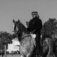 FS (@fatemass_) Twitter profile photo