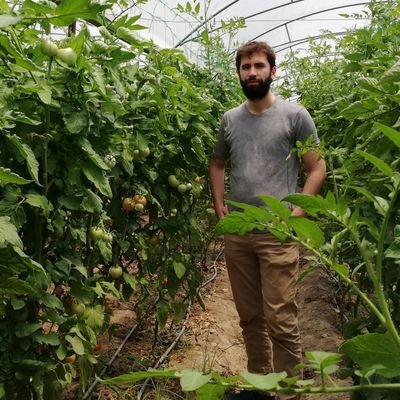 BarisMucahid's profile picture. 💻Developer@Web Freelancer
💉Senior Biolog