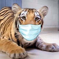 Overheard LSU (@overheard_lsu) 's Twitter Profile