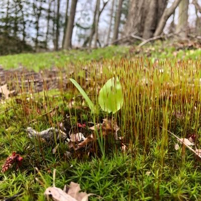 naturegrrl2's profile picture. 