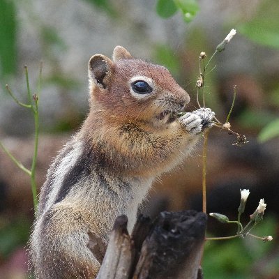 Curmudgeon, amateur photographer, angular developer.