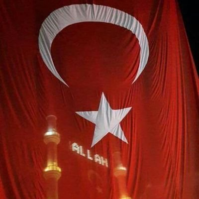 zahidciraci's profile picture. 