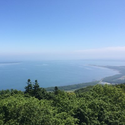 sun_leaf_tree's profile picture. "Be patient, be humble, and never give up"