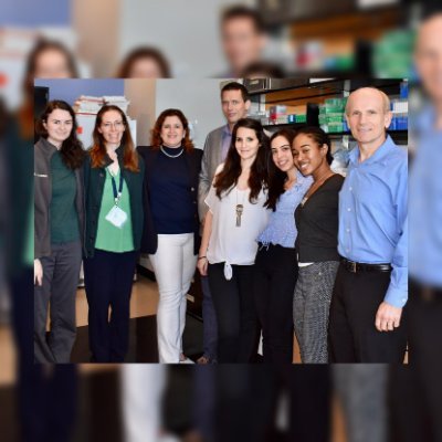 Walter-Csomós Lab Profile