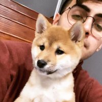 Charlie (@sanchcarl_) 's Twitter Profile