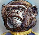 Calling it like it is since the Reagan Administration. The Funny, Absurd and Entertaining: IMPERIAL MONKEY.
