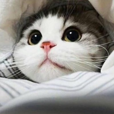 QwLsKDnwDyqEOAJ's profile picture. 