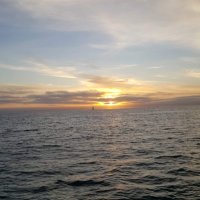 Mike Mh (@mikemh7) 's Twitter Profile