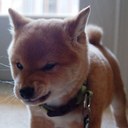 Peter Kim - @peterkim81 - Twitter