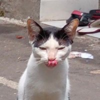 kmzway87aa (@pelestesyen) 's Twitter Profile Photo