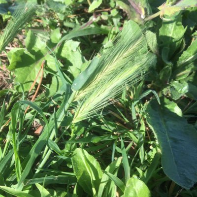 My Name Is Victoria Winters On Twitter That S Why She Was