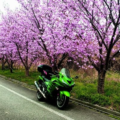 愛知県の知多半島に潜んでる
45才からのリターンライダーです(^^)/
気付けばもう50才！まだまだ、bikeLife頑張ります😃