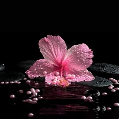 yuli5230's profile picture. 