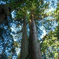 ふくしまSG56 (@sg56suga) Twitter profile photo