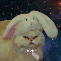 ππ» (@eemilimili) 's Twitter Profile
