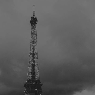 FMStYYQdAoGNwMj's profile picture. .