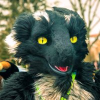 CHARCOAL THE SERGAL🖤 (@charcoalsergal) 's Twitter Profile