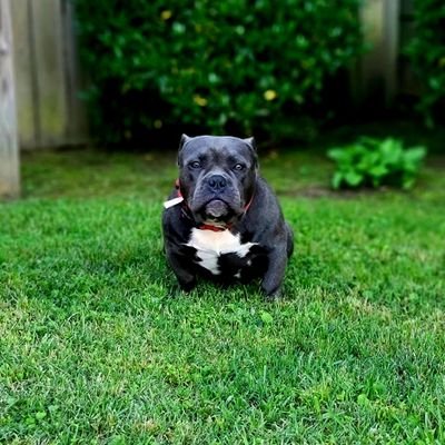 ItdontstopK's profile picture. dport