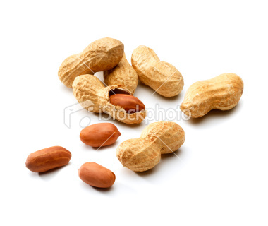 The NE Food Allergy Treatment Center is committed to improving quality of life for patients with peanut allergies.  Learn more about our desensitization study.