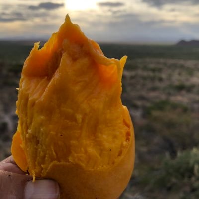 marcosvil2020's profile picture. 