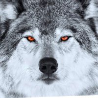Mr. Tommy (@mrcasanova626) 's Twitter Profile