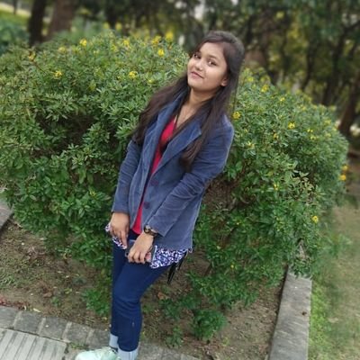 Anushka25988942's profile picture. Diploma in information technology