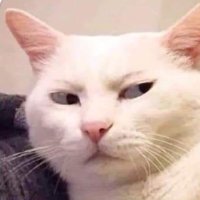 Vers_Pol (@ghrefbe) 's Twitter Profile