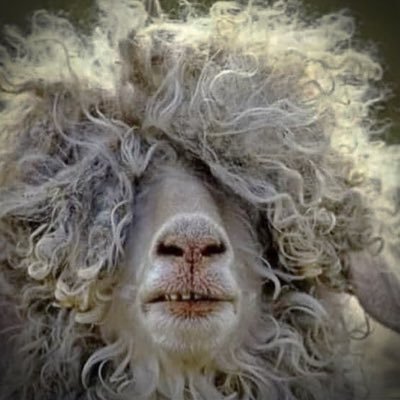 Luegenbeutel's profile picture. 