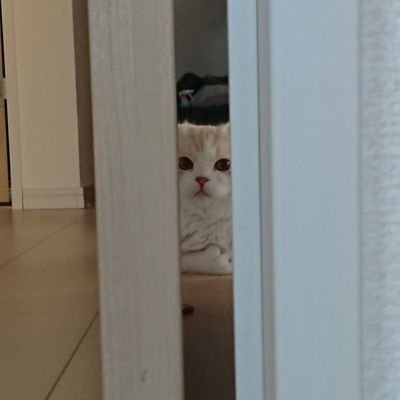 HARU3_3017's profile picture. ゲームとスノボが好きな人
