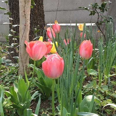 hiromiy69733186's profile picture. 