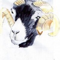 Swaledale Mutton Co.(@SwaledaleMutton) 's Twitter Profileg