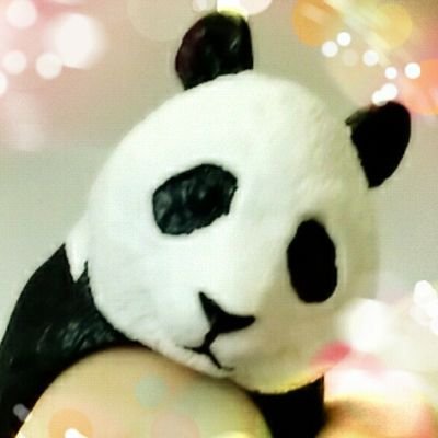 みおなさんのプロフィール画像