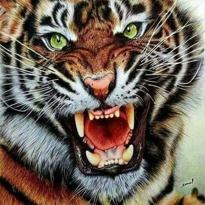 kZaCQPx0NYjatrE's profile picture. 