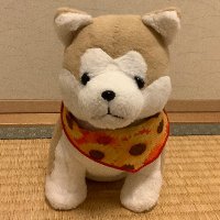 のうさぎ nousagi (@n_nousagi) 's Twitter Profile