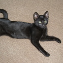 Penelope James-Nield - @penny4robbie - Twitter