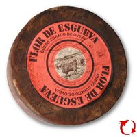 Flor de Esgueva (@flordeesgueva) 's Twitter Profile