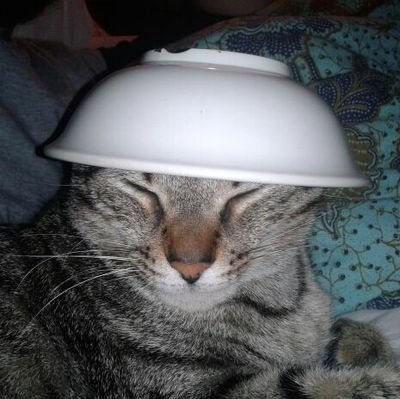 mekemekefreak's profile picture. Uno más.