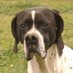 Rouco de La Costa (@rouquirolas) Twitter profile photo Rouco de La Costa (@rouquirolas) Twitter profile photo