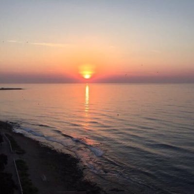 SaezSironi's profile picture. 