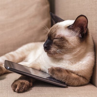 YesIAmp1's profile picture. 