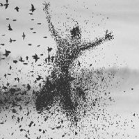 لا تقلق (@m29red) 's Twitter Profile