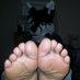 Big Barefoot Fox (@bigfeetfox) Twitter profile photo Big Barefoot Fox (@bigfeetfox) Twitter profile photo