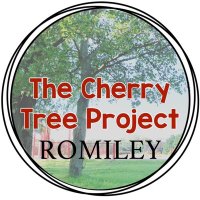 The Cherry Tree Project(@CherryTreeYouth) 's Twitter Profile Photo