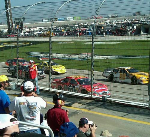 TammyJean58's profile picture. 