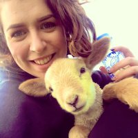 Deirdre Higgins (@dee_higgins) 's Twitter Profile