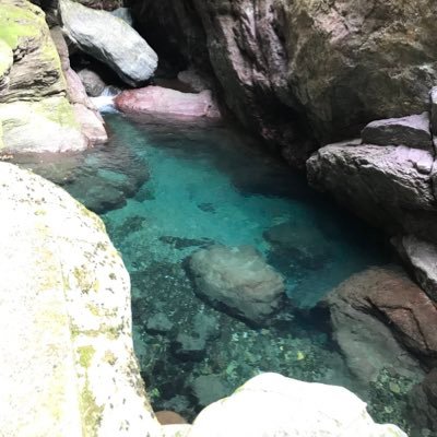 marui_jaga's profile picture. 趣味用